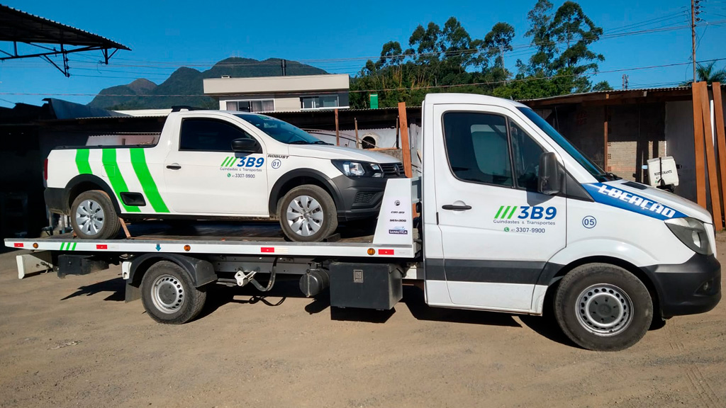 Plataforma 3B9 Transportes e Guindastes07